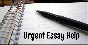urgent essay help